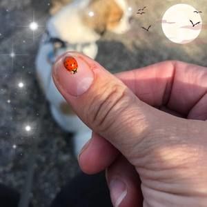 Meet your Posher, Diana